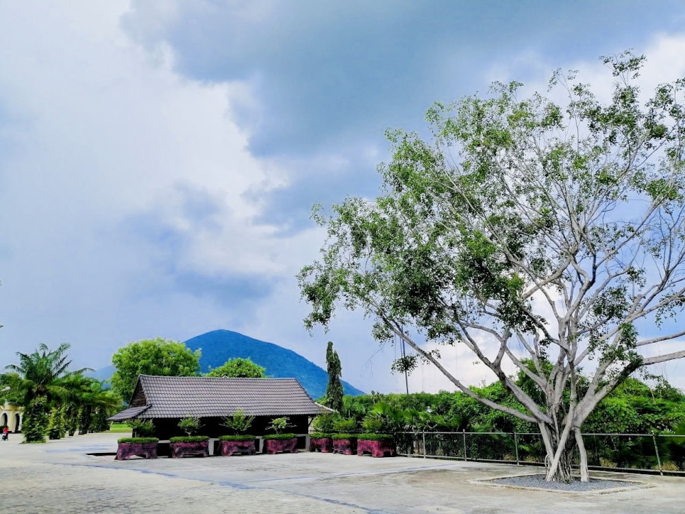 Thời điểm đẹp để đến Long Điền Sơn